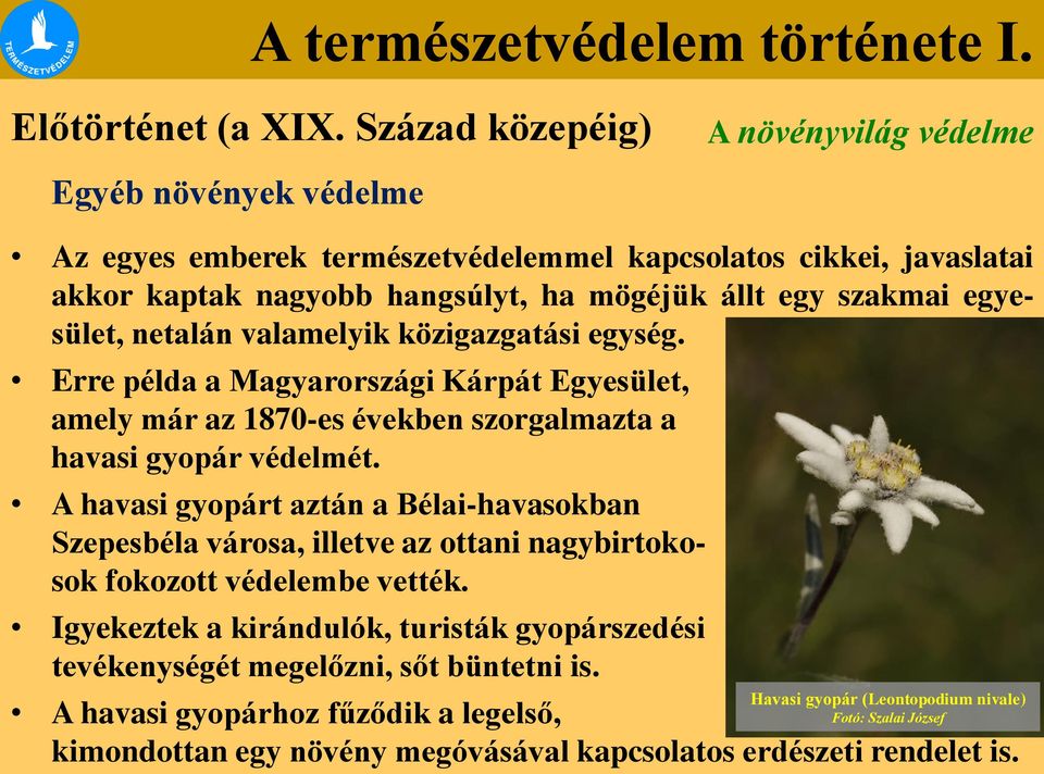 szakmai egyesület, netalán valamelyik közigazgatási egység. Erre példa a Magyarországi Kárpát Egyesület, amely már az 1870-es években szorgalmazta a havasi gyopár védelmét.