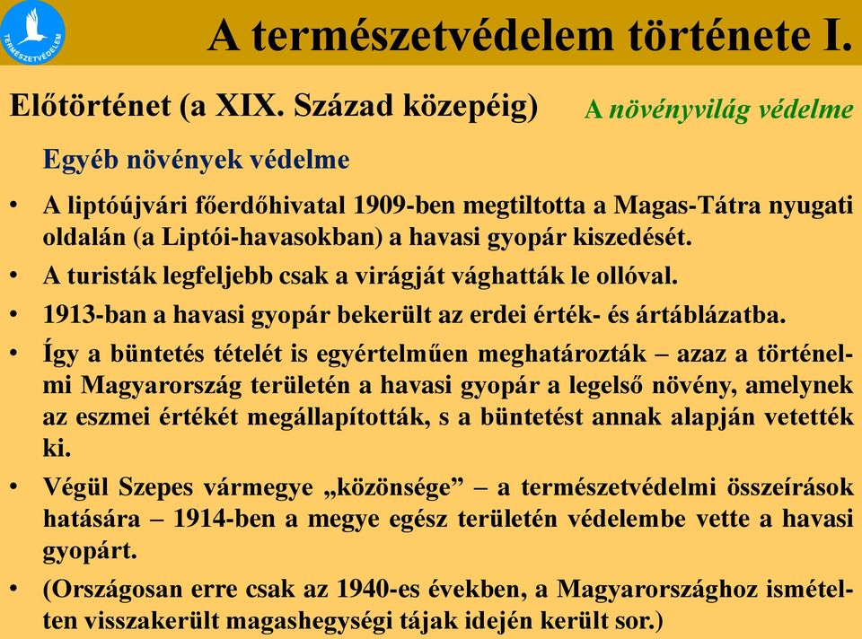 A turisták legfeljebb csak a virágját vághatták le ollóval. 1913-ban a havasi gyopár bekerült az erdei érték- és ártáblázatba.