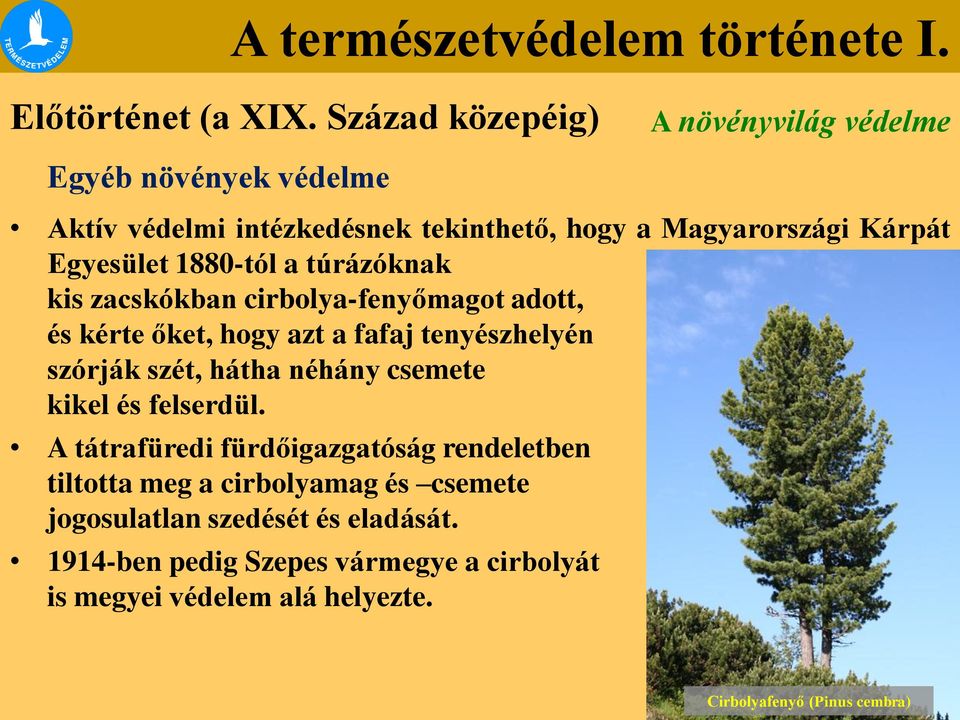 Egyesület 1880-tól a túrázóknak kis zacskókban cirbolya-fenyőmagot adott, és kérte őket, hogy azt a fafaj tenyészhelyén szórják szét,