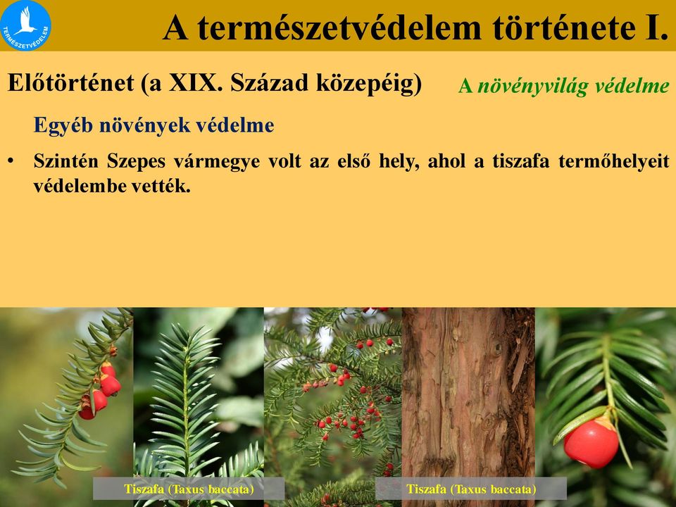 védelme Szintén Szepes vármegye volt az első hely,