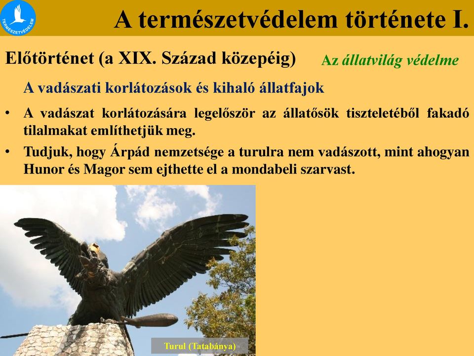 A vadászat korlátozására legelőször az állatősök tiszteletéből fakadó tilalmakat