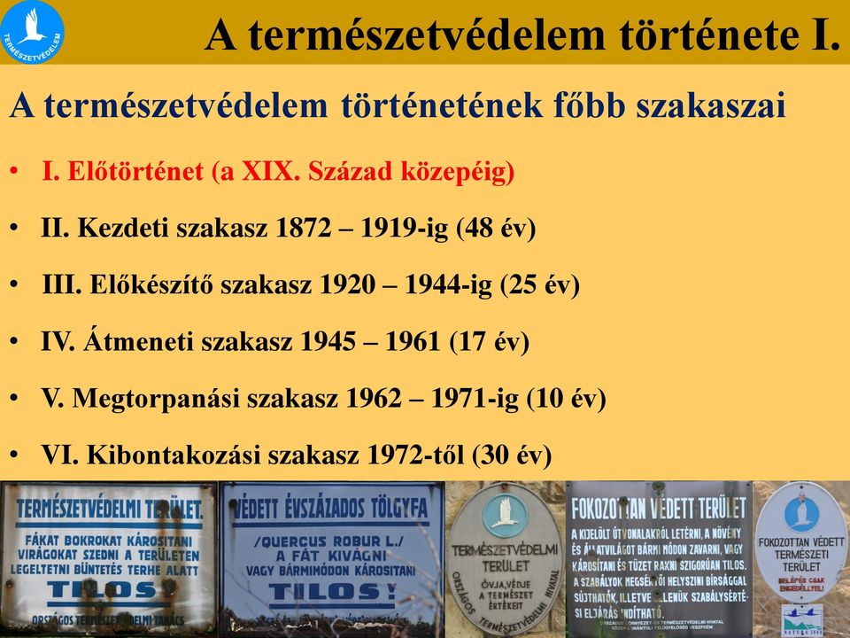 Előkészítő szakasz 1920 1944-ig (25 év) IV.