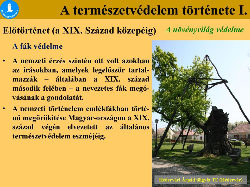 írásokban, amelyek legelőször tartalmazzák általában a XIX.
