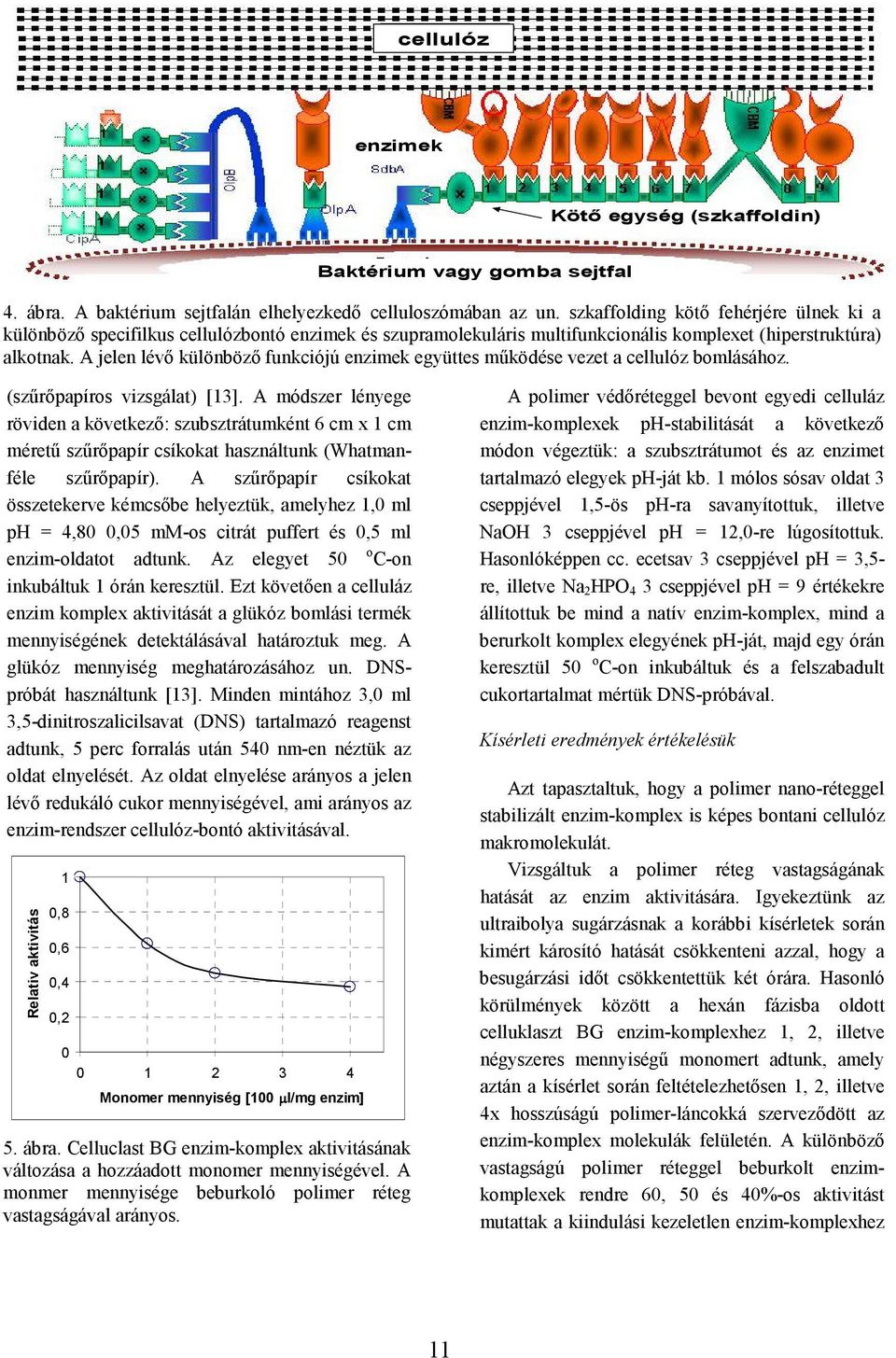 A jelen lévı különbözı funkciójú enzimek együttes mőködése vezet a cellulóz bomlásához. (szőrıpapíros vizsgálat) [13].