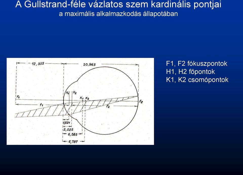 alkalmazkodás állapotában F1, F2