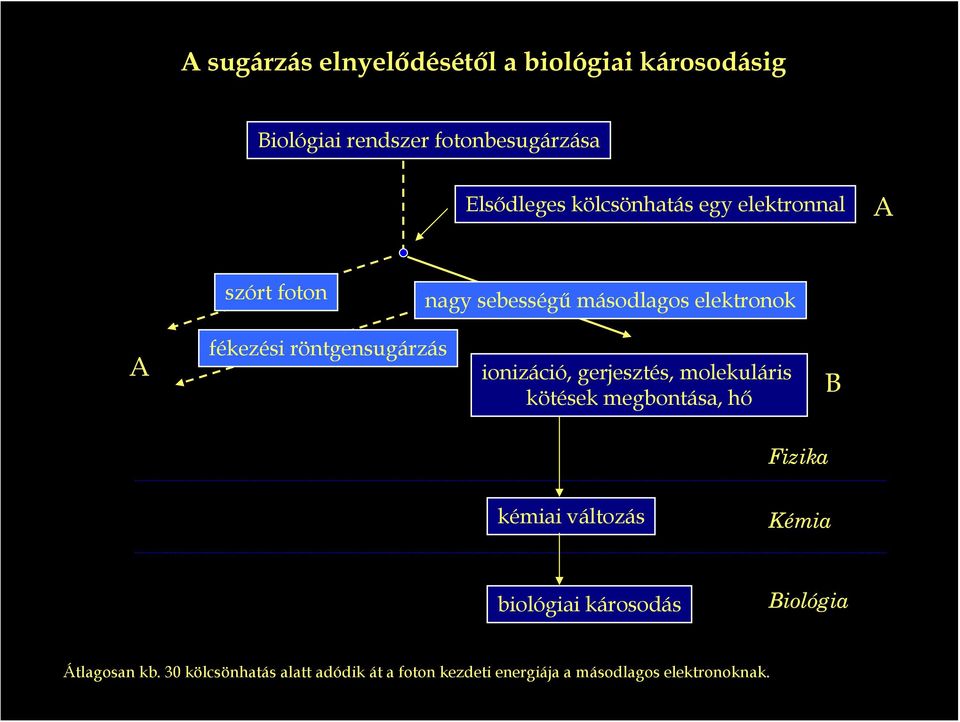 röntgensugárzás ionizáció, gerjesztés, molekuláris kötések megbontása, hő B Fizika kémiai változás Kémia