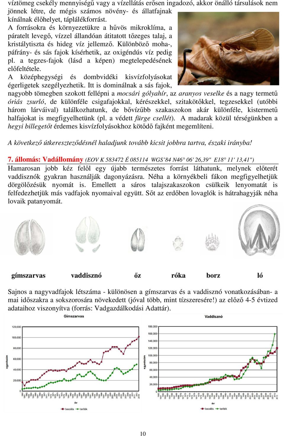 Különbözı moha-, páfrány- és sás fajok kísérhetik, az oxigéndús víz pedig pl. a tegzes-fajok (lásd a képen) megtelepedésének elıfeltétele.