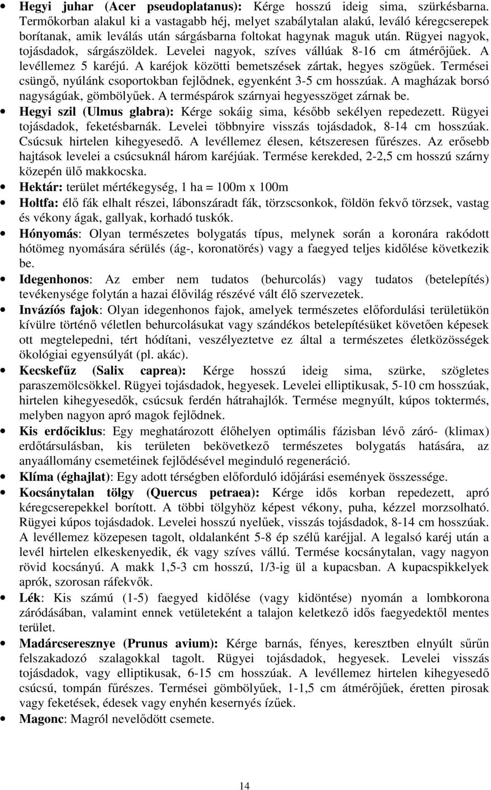 Levelei nagyok, szíves vállúak 8-16 cm átmérıjőek. A levéllemez 5 karéjú. A karéjok közötti bemetszések zártak, hegyes szögőek.
