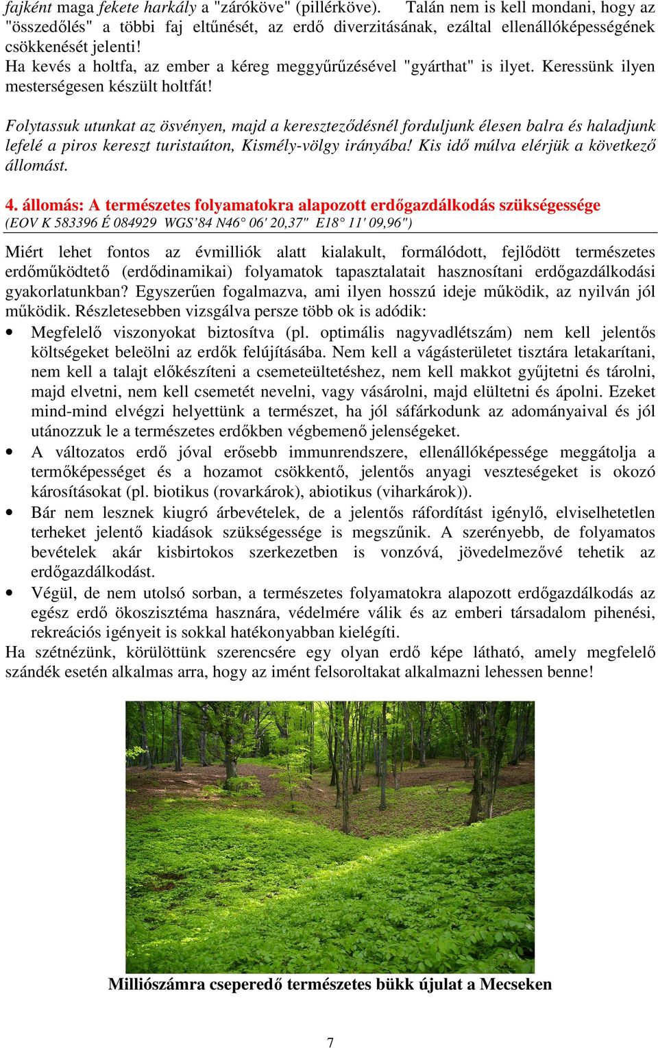 Folytassuk utunkat az ösvényen, majd a keresztezıdésnél forduljunk élesen balra és haladjunk lefelé a piros kereszt turistaúton, Kismély-völgy irányába! Kis idı múlva elérjük a következı állomást. 4.