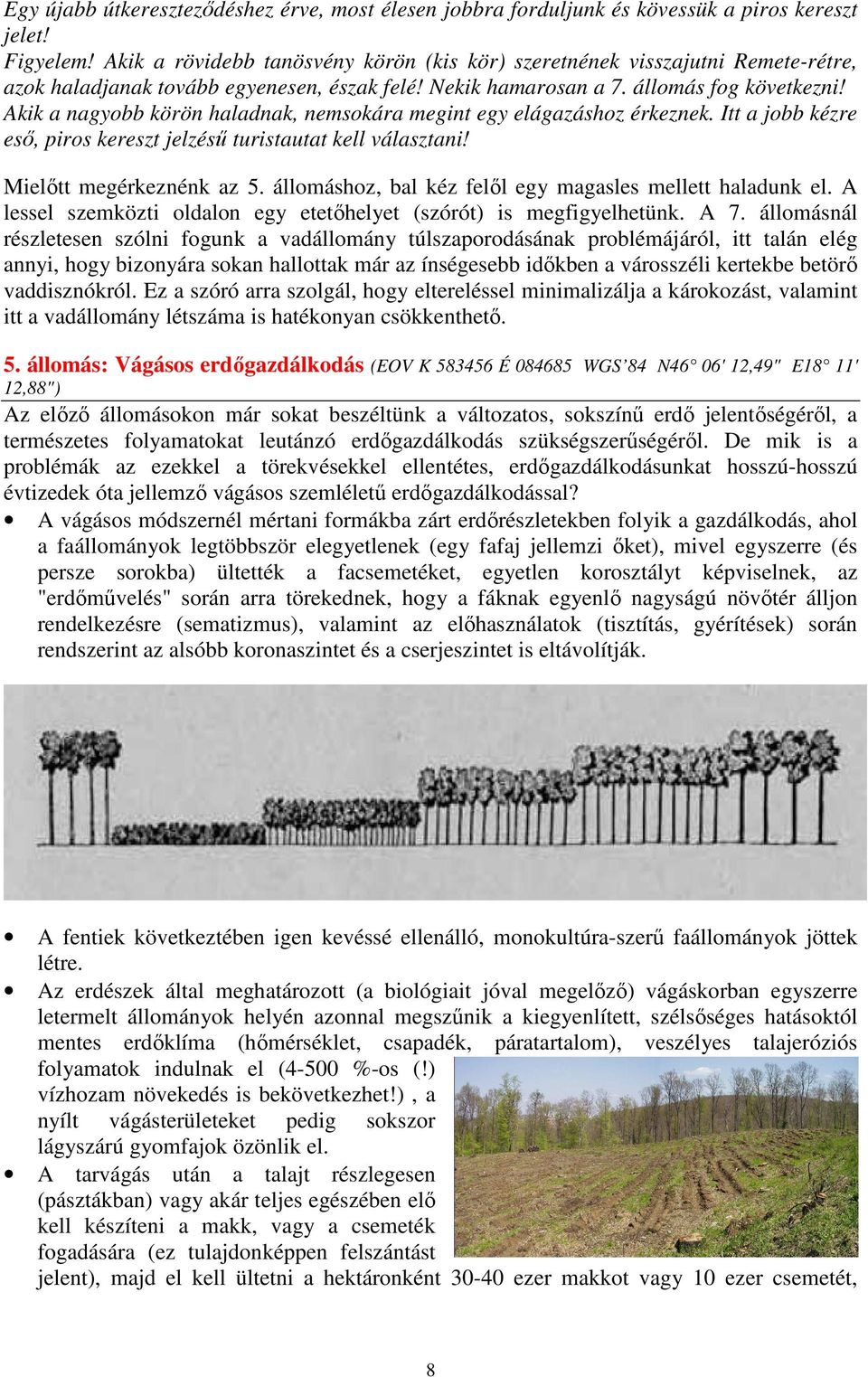 Akik a nagyobb körön haladnak, nemsokára megint egy elágazáshoz érkeznek. Itt a jobb kézre esı, piros kereszt jelzéső turistautat kell választani! Mielıtt megérkeznénk az 5.