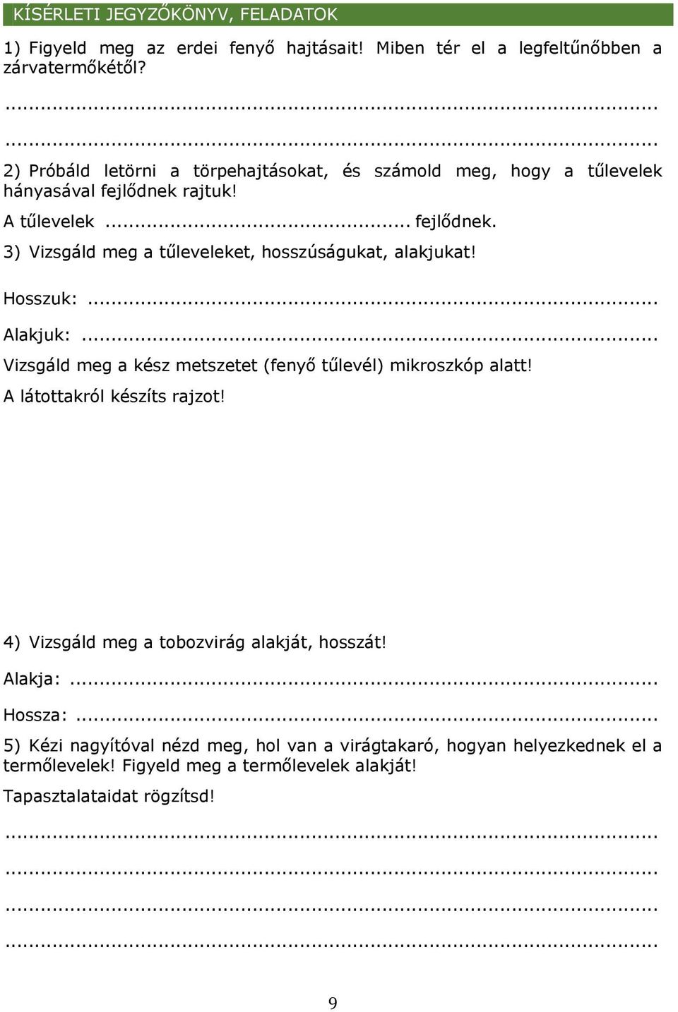 Hosszuk:... Alakjuk:... Vizsgáld meg a kész metszetet (fenyő tűlevél) mikroszkóp alatt! A látottakról készíts rajzot!