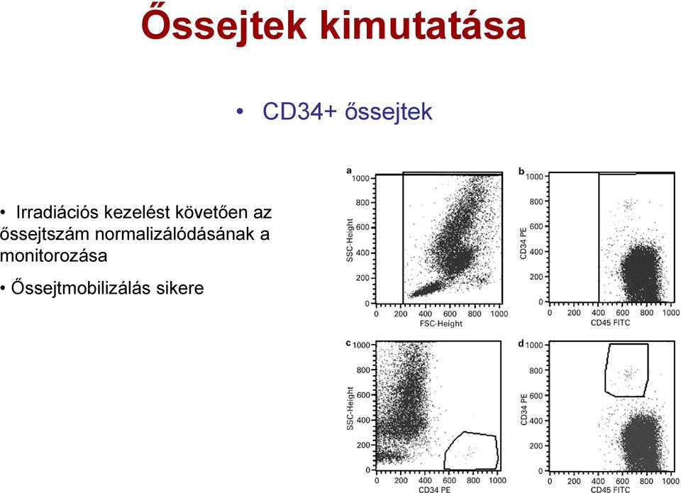 őssejtszám normalizálódásának a