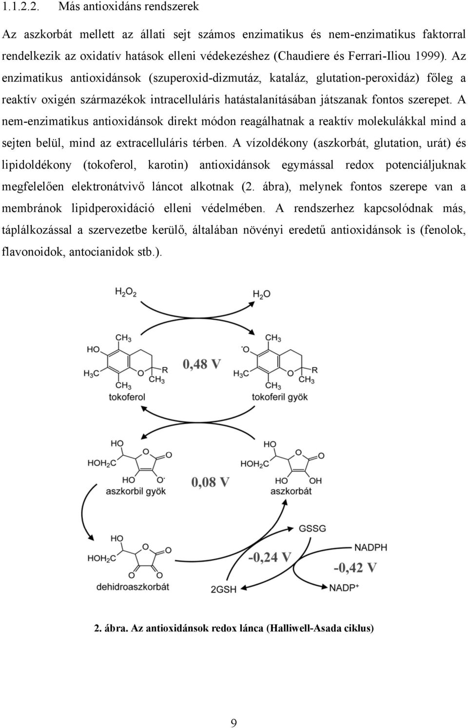 Az enzimatikus antioxidánsok (szuperoxid-dizmutáz, kataláz, glutation-peroxidáz) főleg a reaktív oxigén származékok intracelluláris hatástalanításában játszanak fontos szerepet.