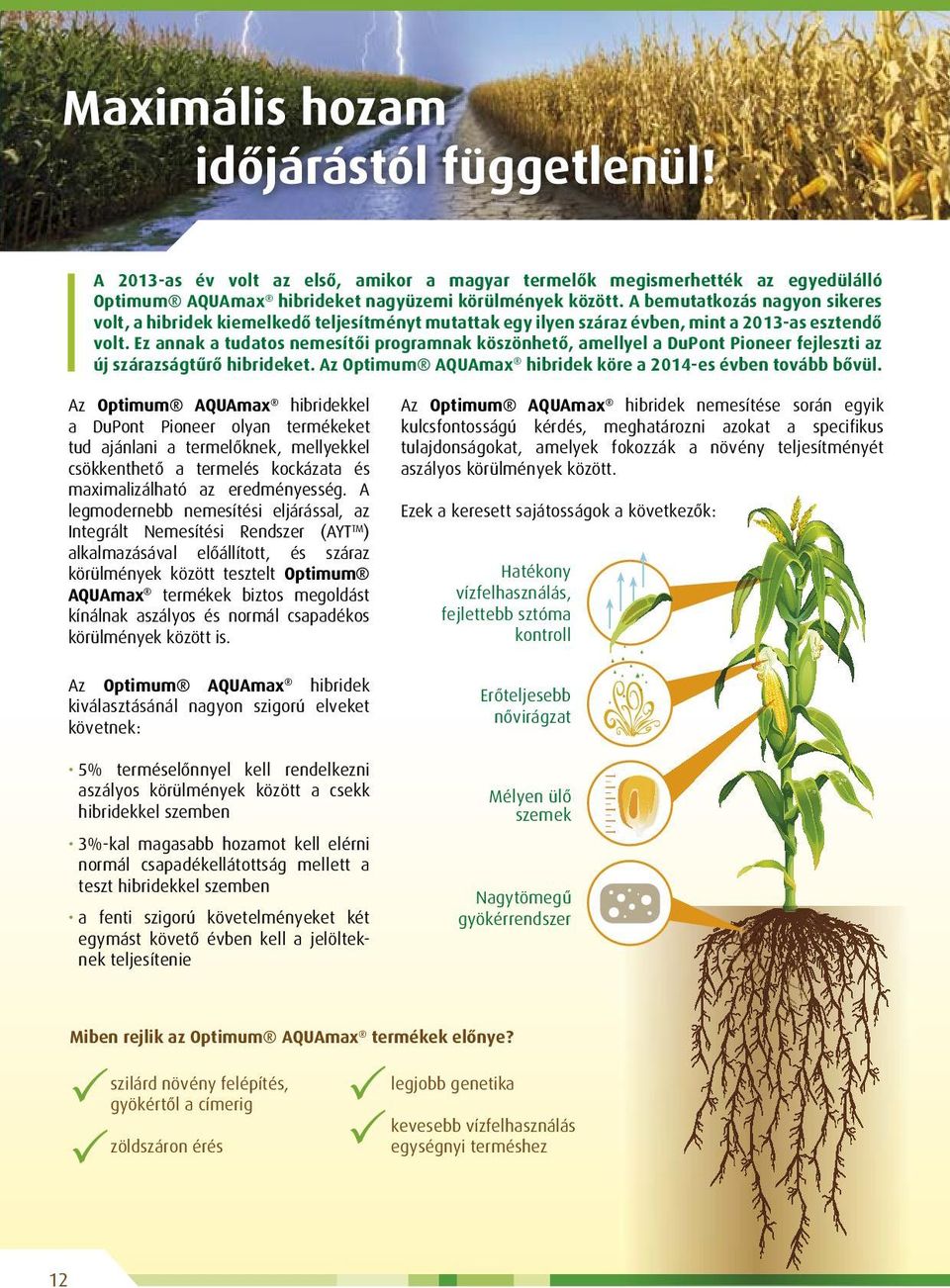 Ez annak a tudatos nemesítői programnak köszönhető, amellyel a DuPont Pioneer fejleszti az új szárazságtűrő hibrideket. Az Optimum AQUAmax hibridek köre a 2014-es évben tovább bővül.