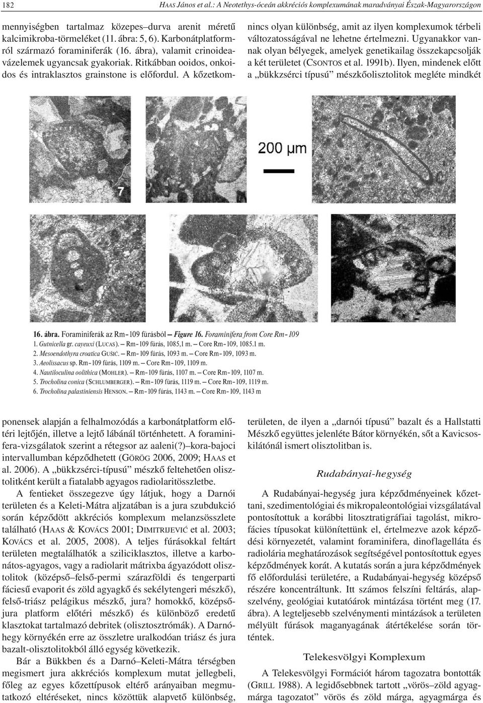 Foraminiferák az Rm 109 fúrásból Figure 16. Foraminifera from Core Rm 109 1. Gutnicella gr. cayeuxi (LUCAS). Rm 109 fúrás, 1085,1 m. Core Rm 109, 1085.1 m. 2. Mesoendothyra croatica GUŠIĆ.