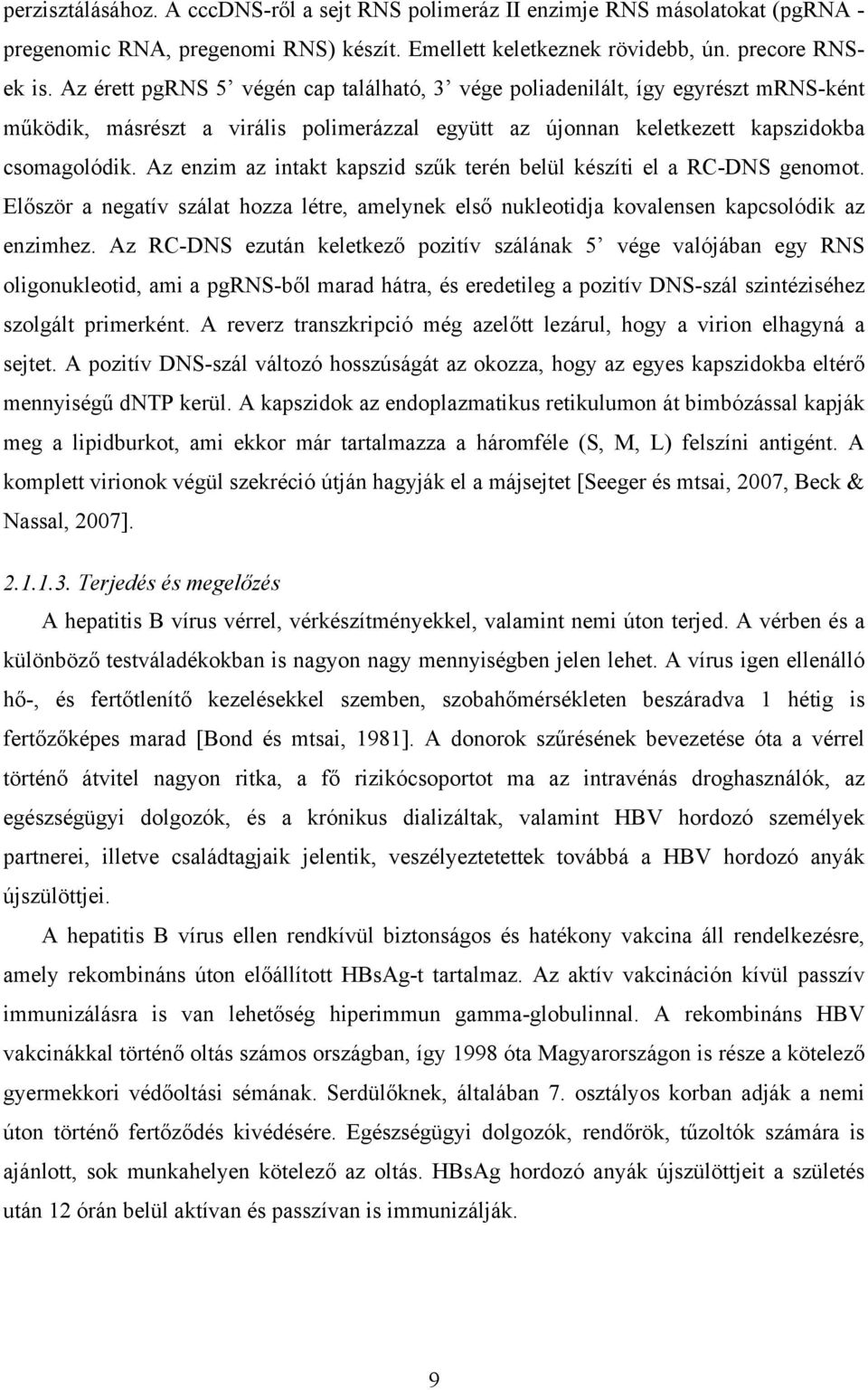 Az enzim az intakt kapszid szűk terén belül készíti el a RC-DNS genomot. Először a negatív szálat hozza létre, amelynek első nukleotidja kovalensen kapcsolódik az enzimhez.