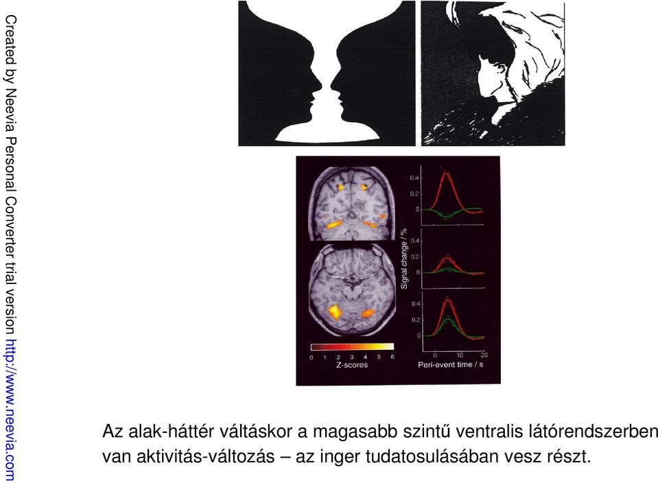 az inger tudatosulásában vesz részt.