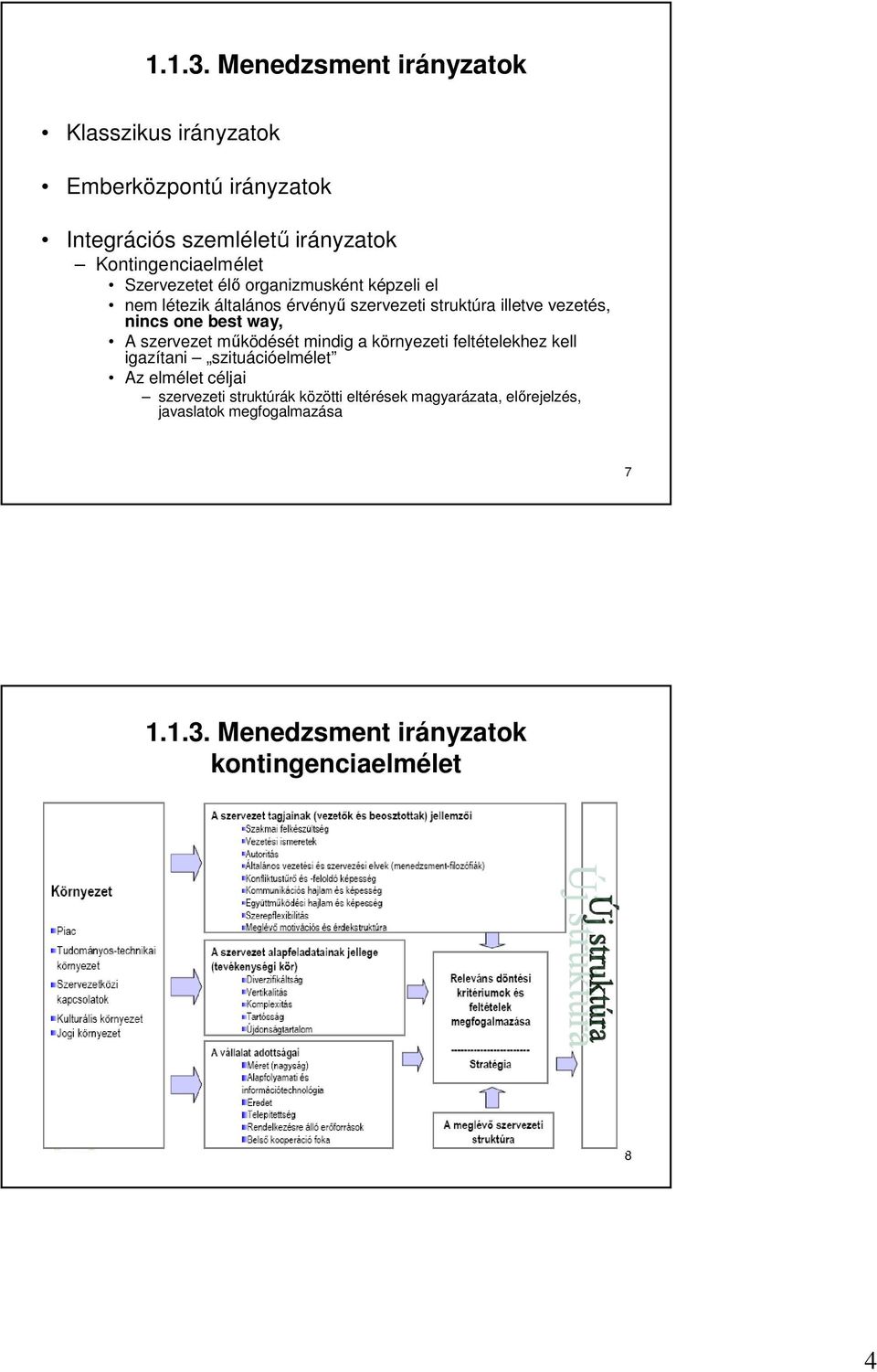 Szervezetet élő organizmusként képzeli el nem létezik általános érvényű szervezeti struktúra illetve vezetés, nincs one best