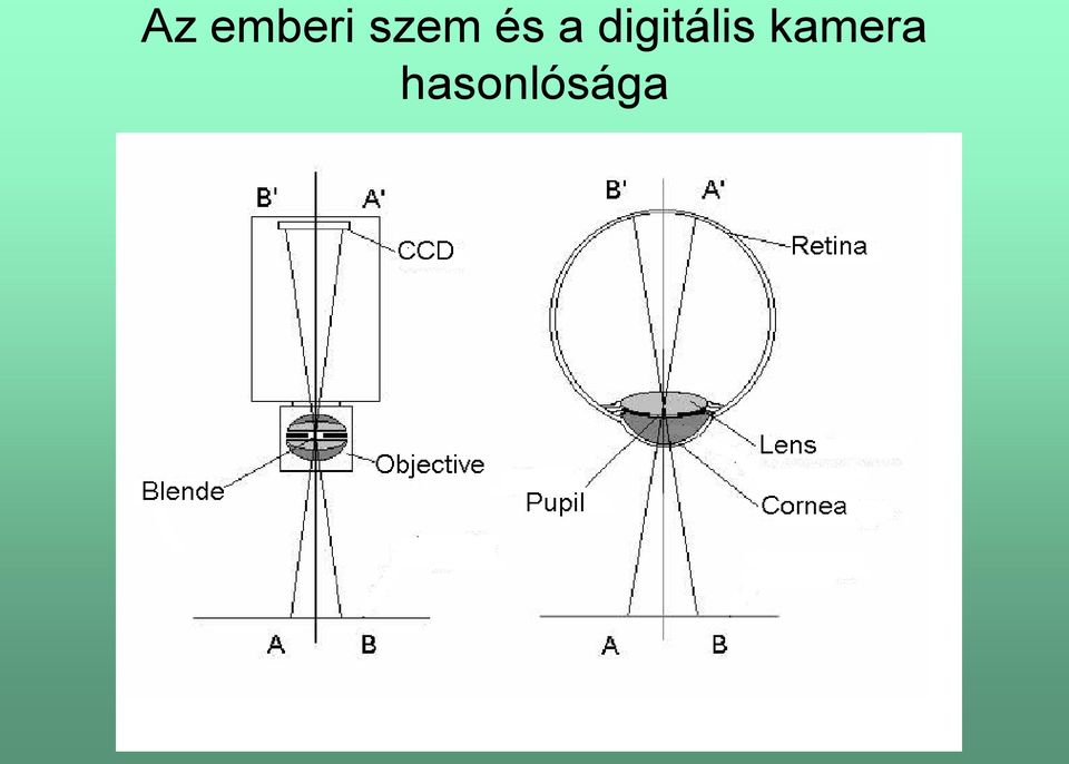 digitális