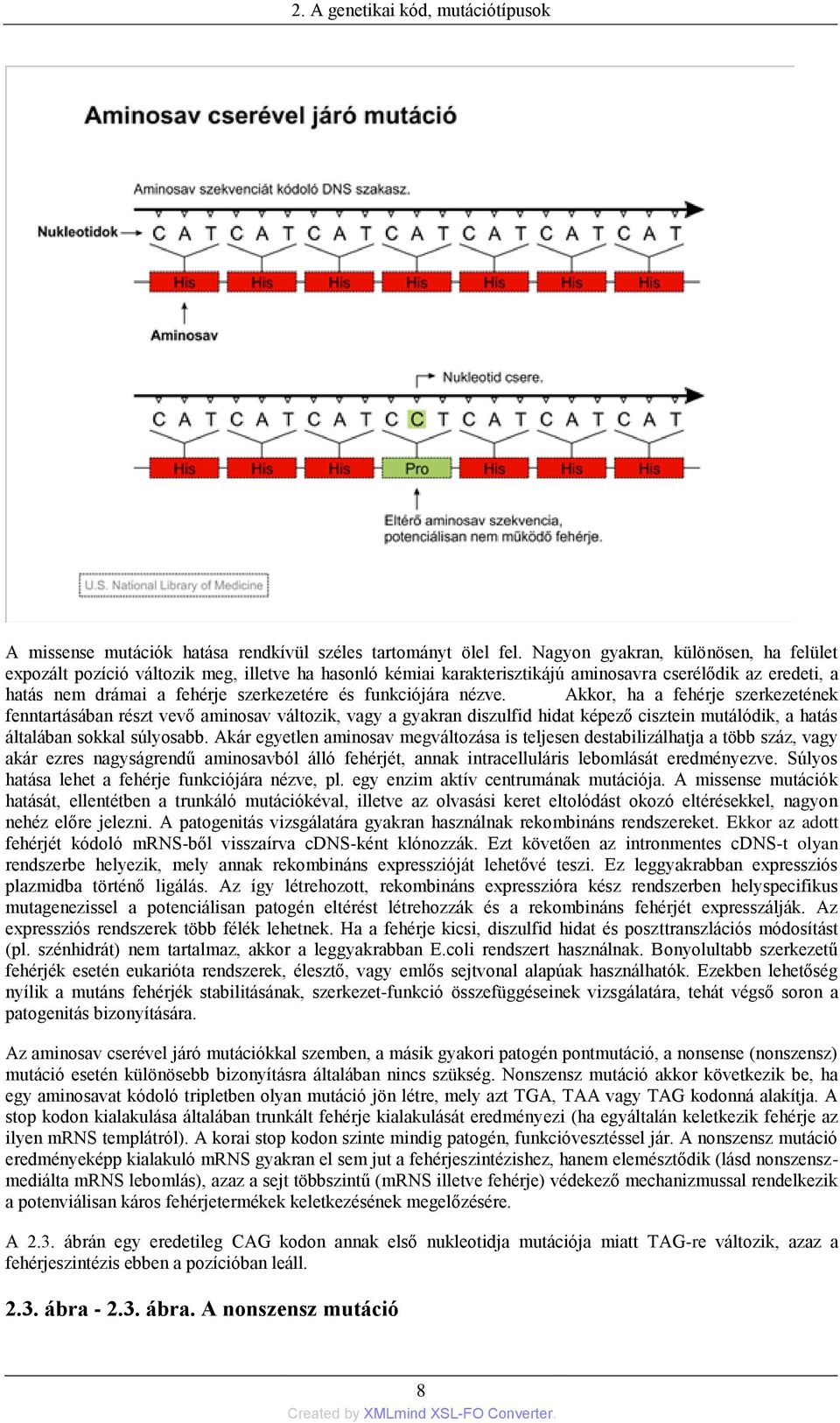 funkciójára nézve. Akkor, ha a fehérje szerkezetének fenntartásában részt vevő aminosav változik, vagy a gyakran diszulfid hidat képező cisztein mutálódik, a hatás általában sokkal súlyosabb.