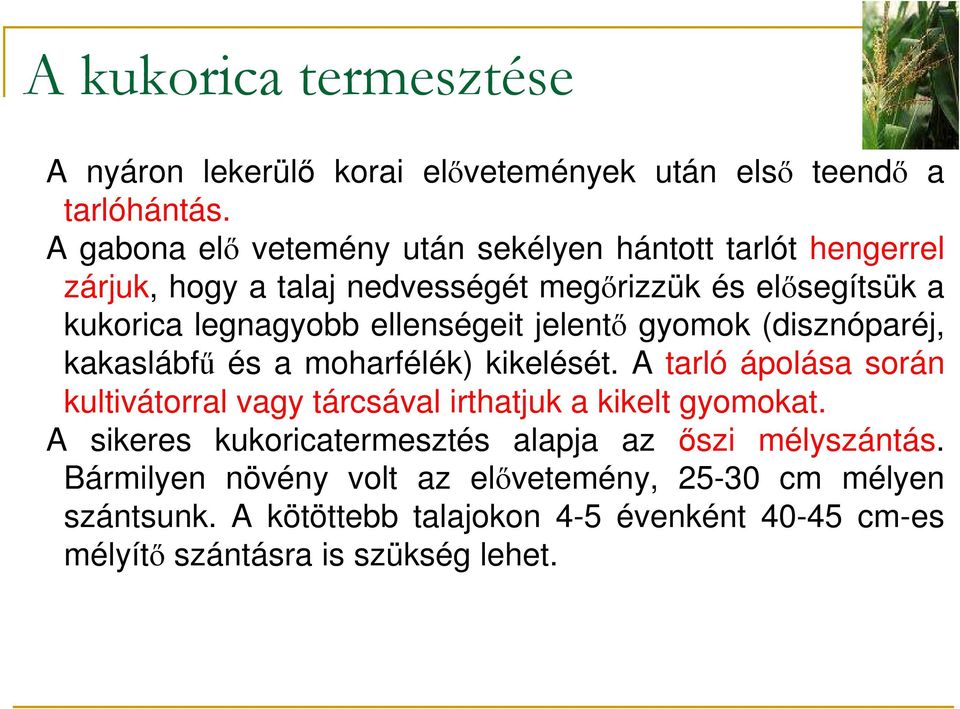 ellenségeit jelentı gyomok (disznóparéj, kakaslábfő és a moharfélék) kikelését.