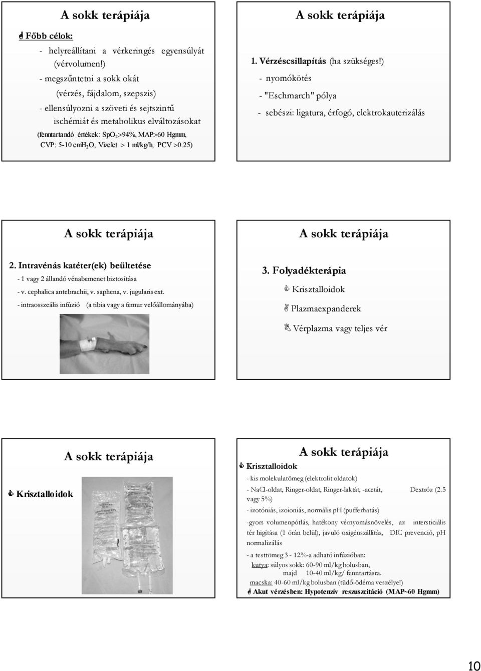 2 O, Vizelet 1 ml/kg/h, PCV 0.25) 1. Vérzéscsillapítás (ha szükséges!) - nyomókötés - "Eschmarch" pólya - sebészi: ligatura, érfogó, elektrokauterizálás 2.
