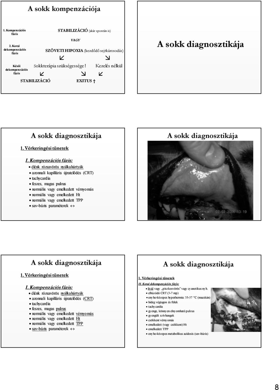 Kompenzációs : élénk rózsavörös nyálkahártyák azonnali kapilláris újratelődés (CRT) tachycardia feszes, magas pulzus normális vagy emelkedett vérnyomás normális vagy emelkedett Ht normális vagy