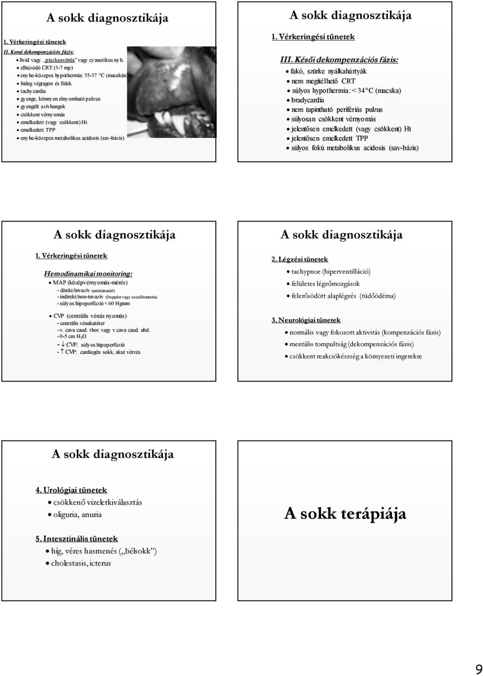 csökkent) Ht emelkedett TPP enyhe-közepes metabolikus acidosis (sav-bázis) 1. Vérkeringési tünetek III.