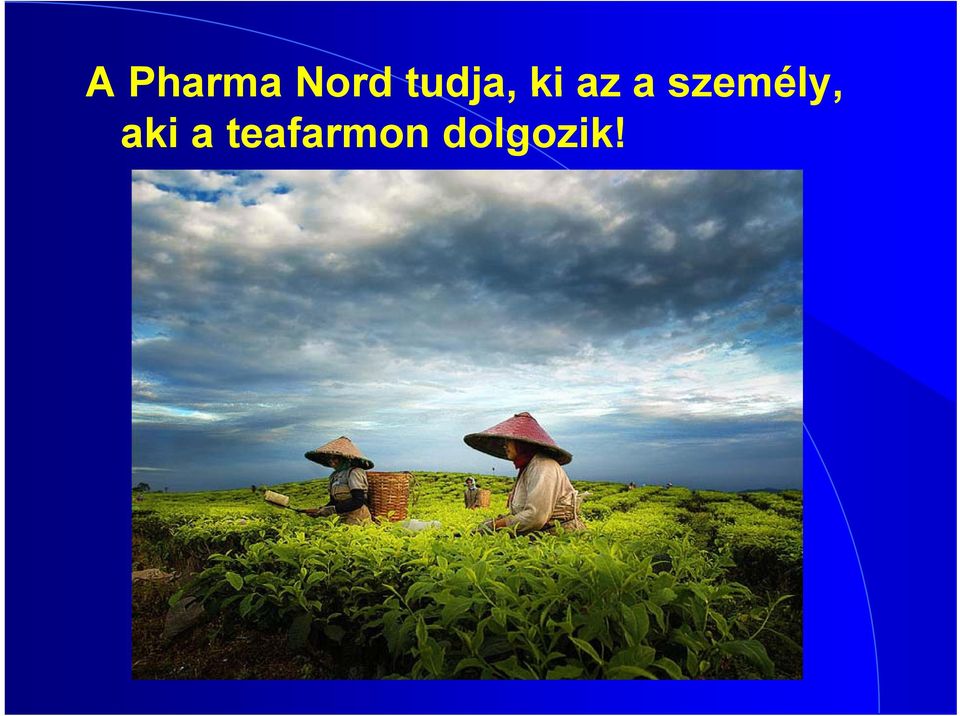 Nord tudja, ki az a