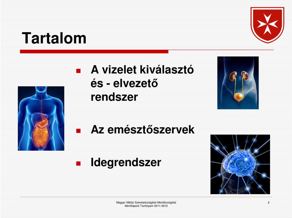 elvezető rendszer Az