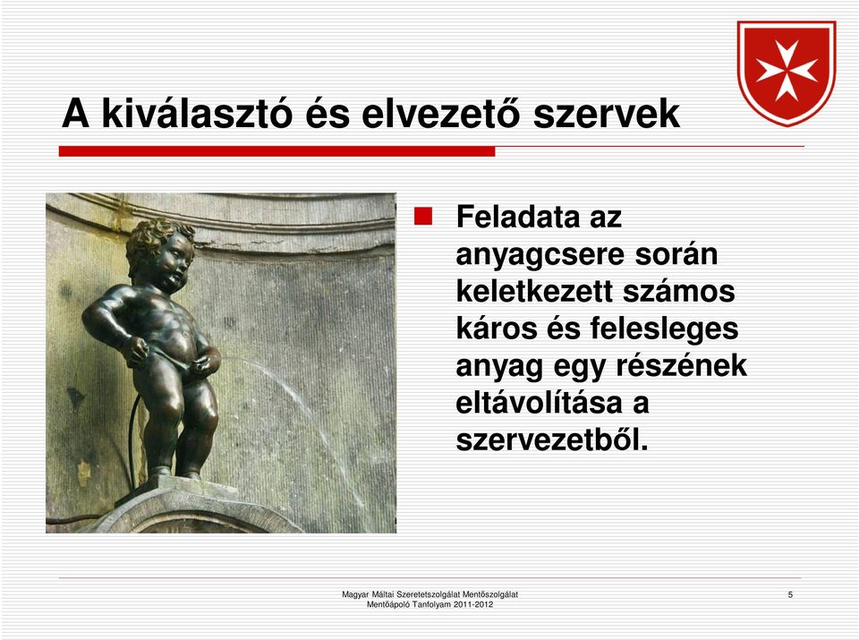 keletkezett számos káros és