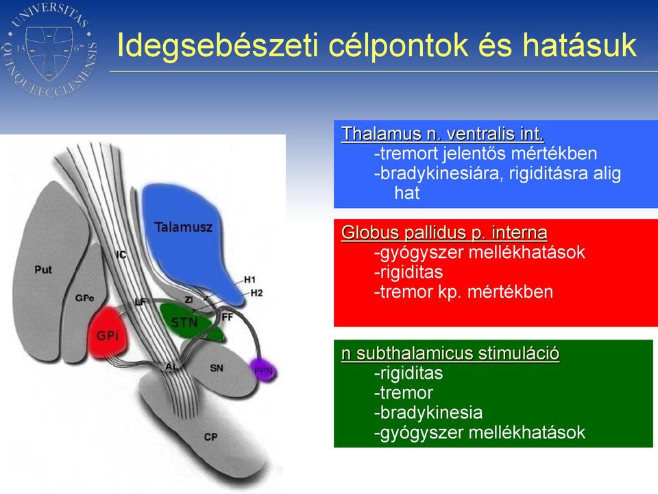 pallidus p. interna -gyógyszer mellékhatások -rigiditas -tremor kp.