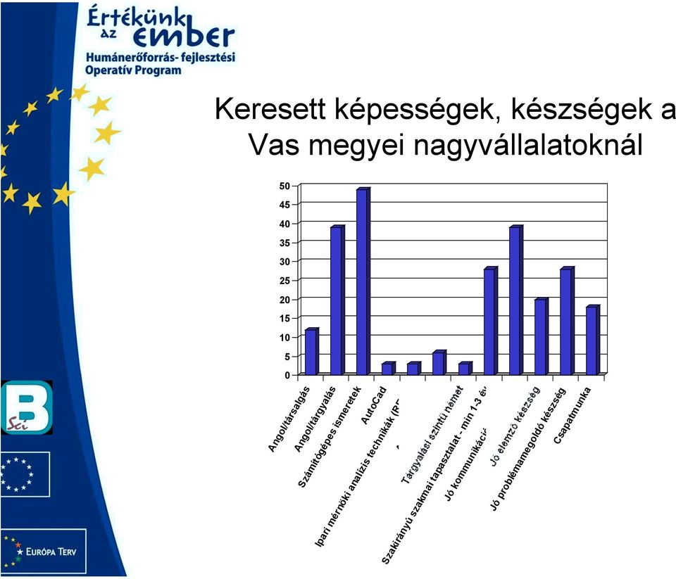 Ipari mérnöki analízis technikák (REFA) Alapfokú német Szakirányú szakmai