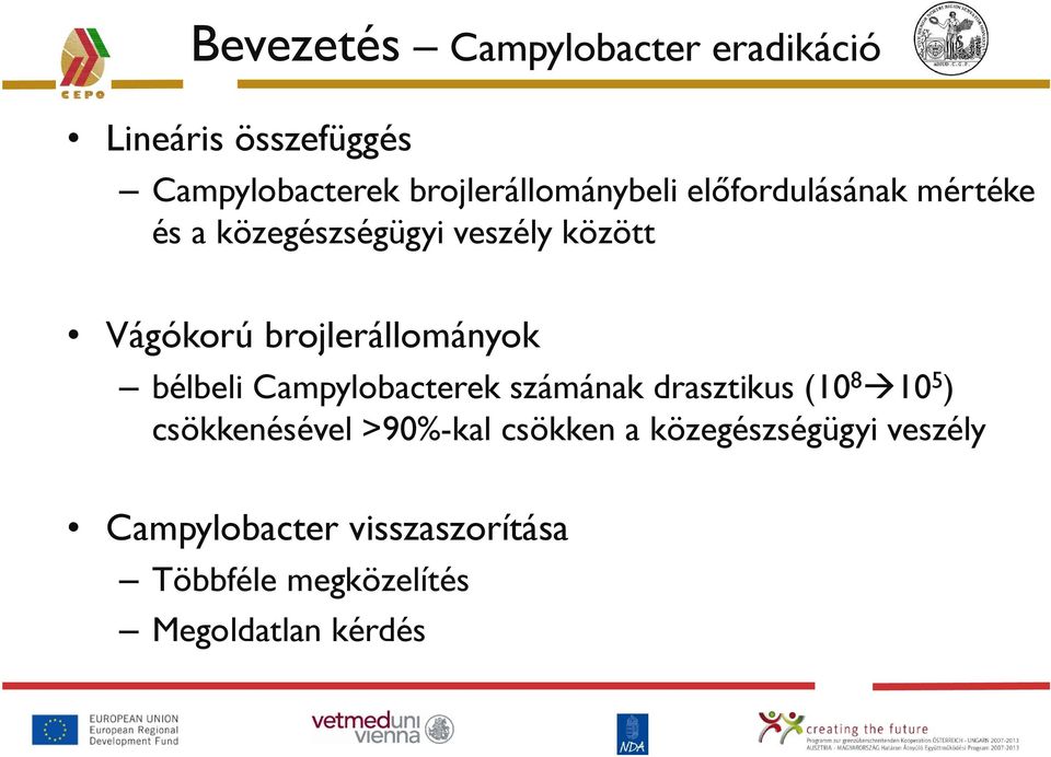 brojlerállományok bélbeli Campylobacterek számának drasztikus (10 8 10 5 ) csökkenésével