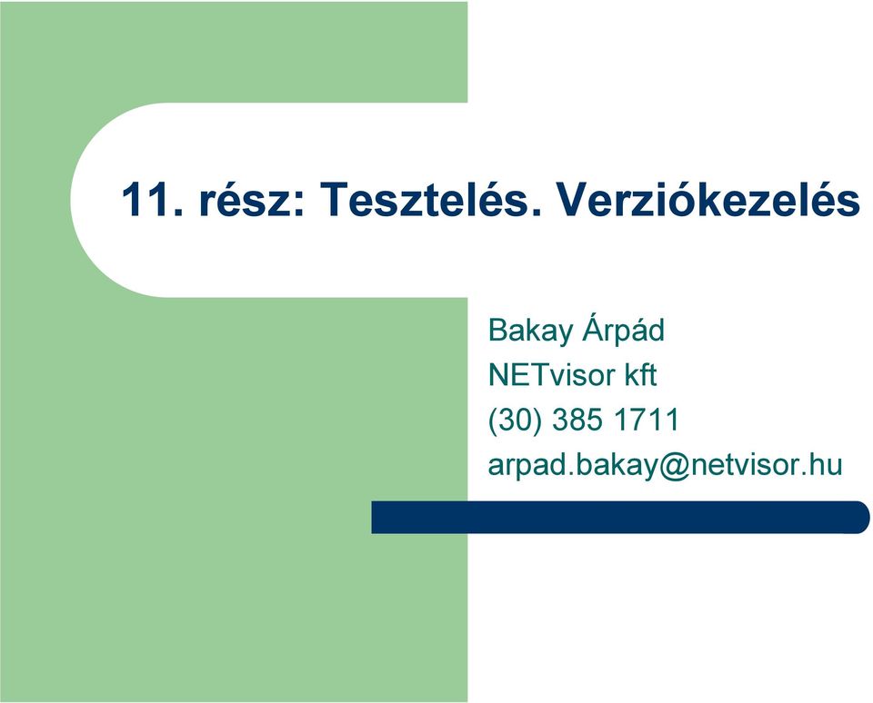 Árpád NETvisor kft (30)