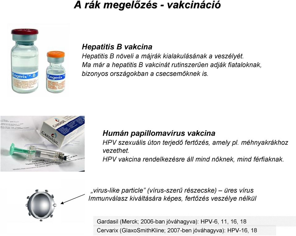 Humán papillomavírus vakcina HPV szexuális úton terjedő fertőzés, amely pl. méhnyakrákhoz vezethet.