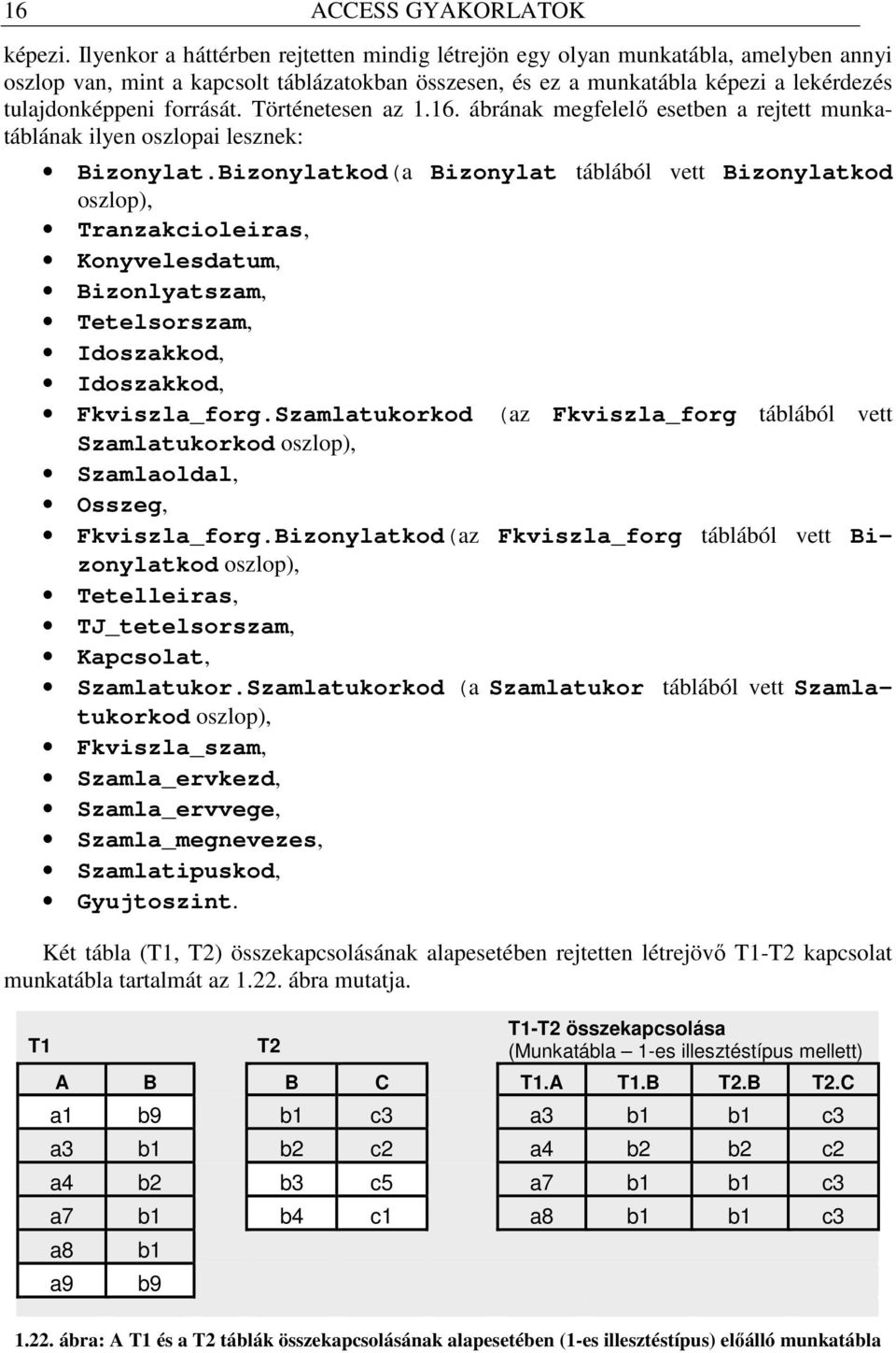 Történetesen az 1.16. ábrának megfelelı esetben a rejtett munkatáblának ilyen oszlopai lesznek: Bizonylat.