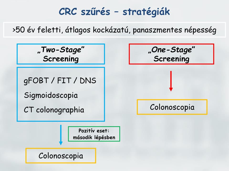 Screening gfobt / FIT / DNS Sigmoidoscopia CT