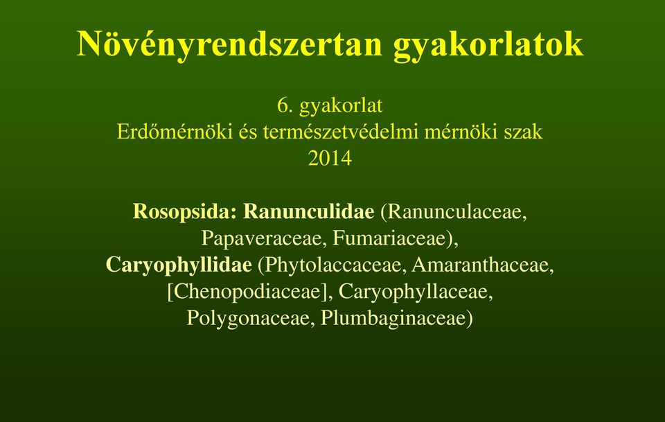 Rosopsida: Ranunculidae (Ranunculaceae, Papaveraceae, Fumariaceae),