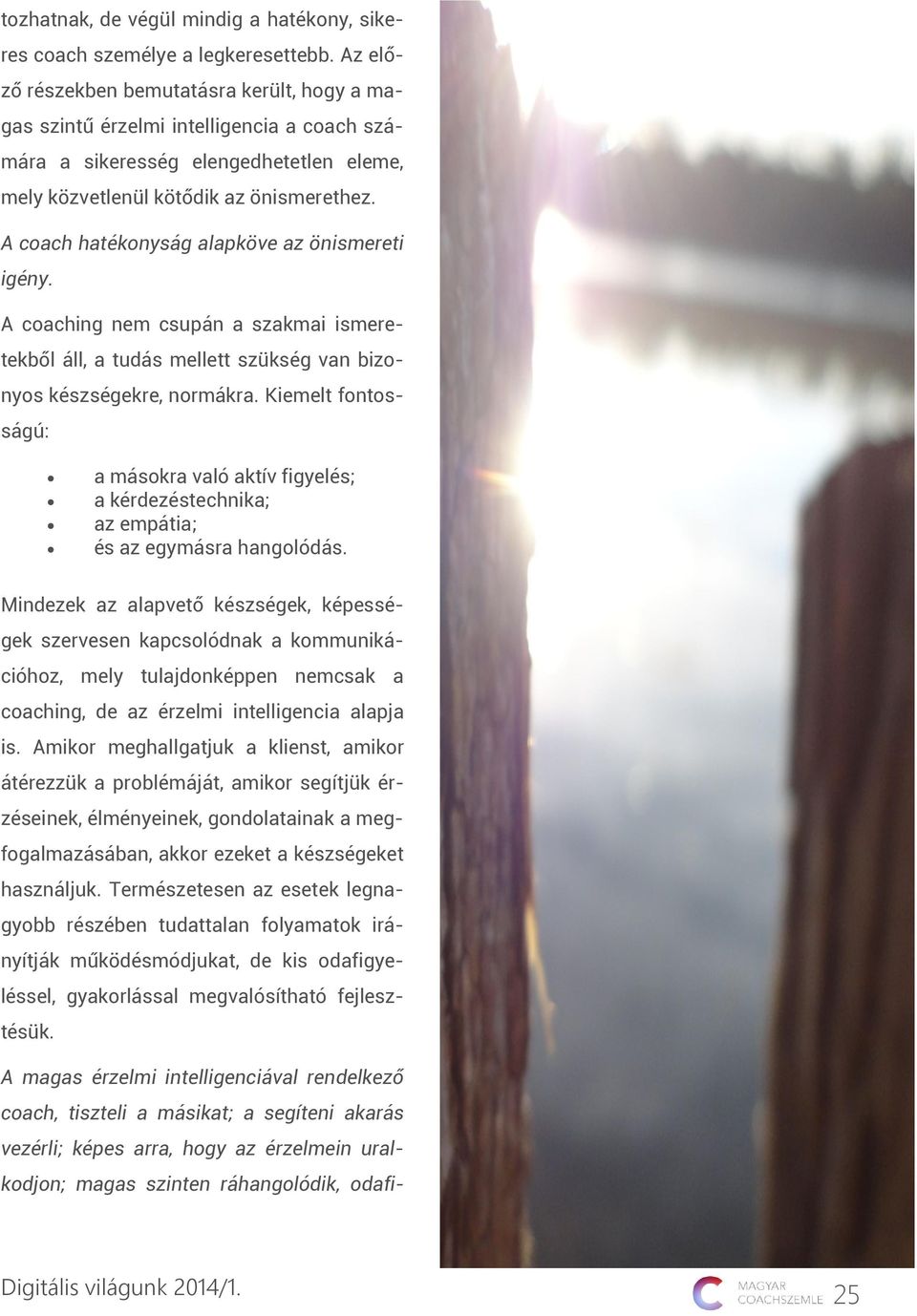 A coach hatékonyság alapköve az önismereti igény. A coaching nem csupán a szakmai ismeretekből áll, a tudás mellett szükség van bizonyos készségekre, normákra.