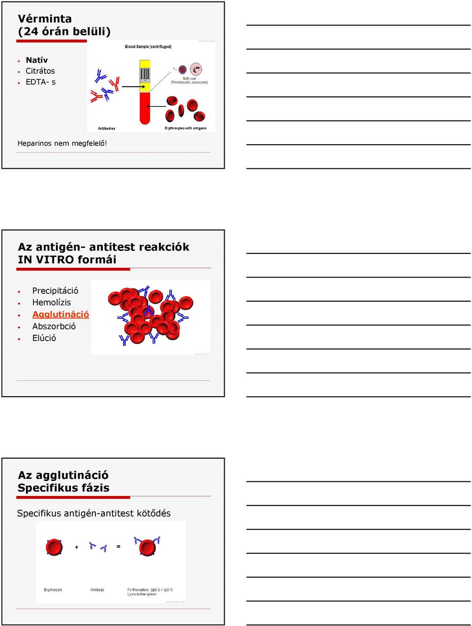 Az antigén- antitest reakciók IN VITRO formái Precipitáció