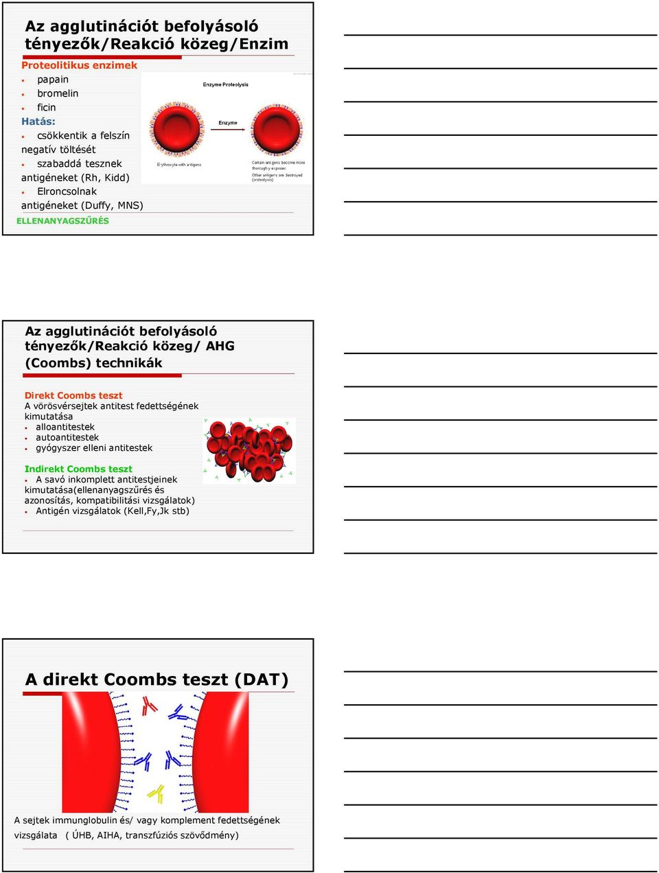 fedettségének kimutatása alloantitestek autoantitestek gyógyszer elleni antitestek Indirekt Coombs teszt A savó inkomplett antitestjeinek kimutatása(ellenanyagszűrés és azonosítás,