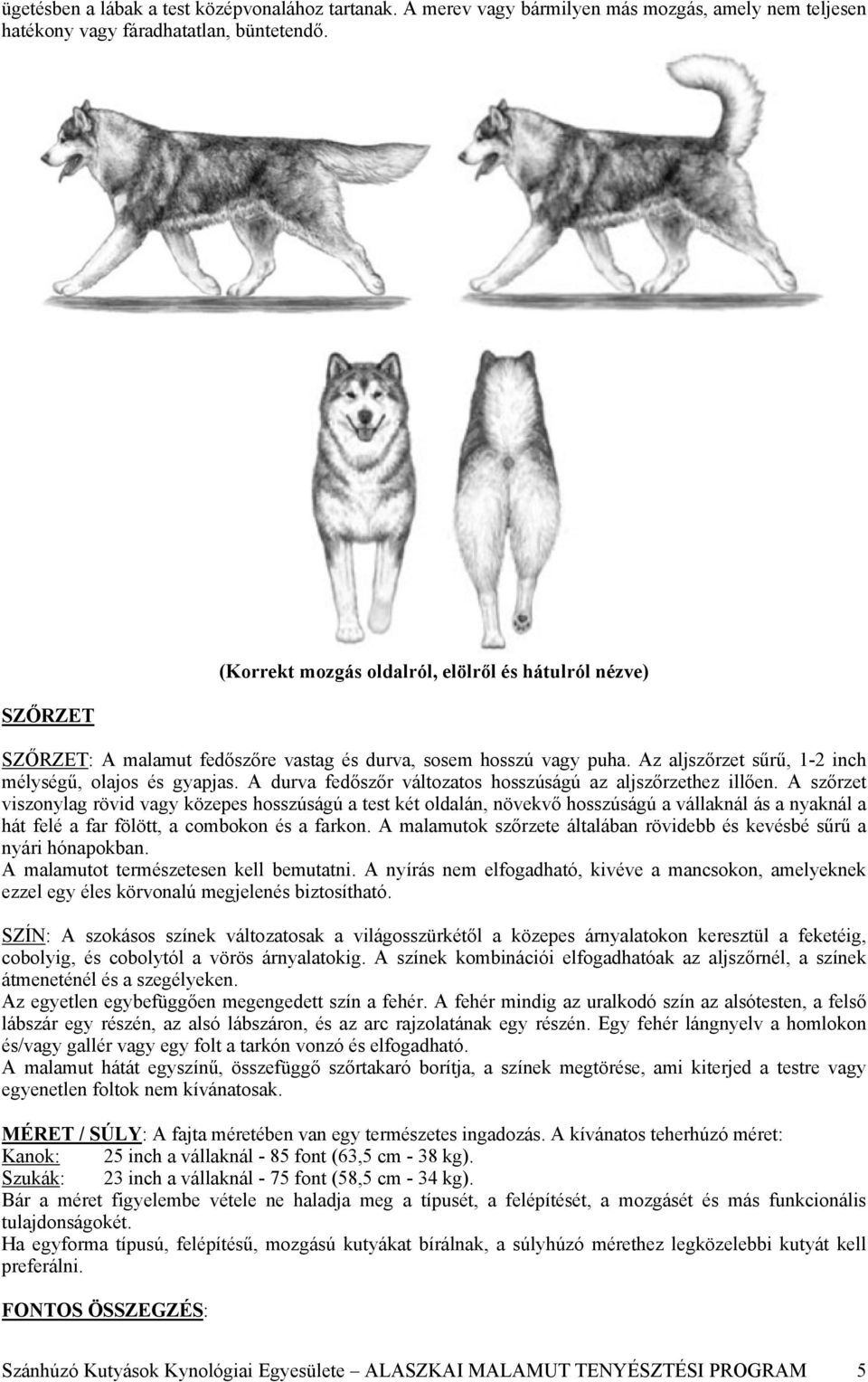 A durva fedőszőr változatos hosszúságú az aljszőrzethez illően.