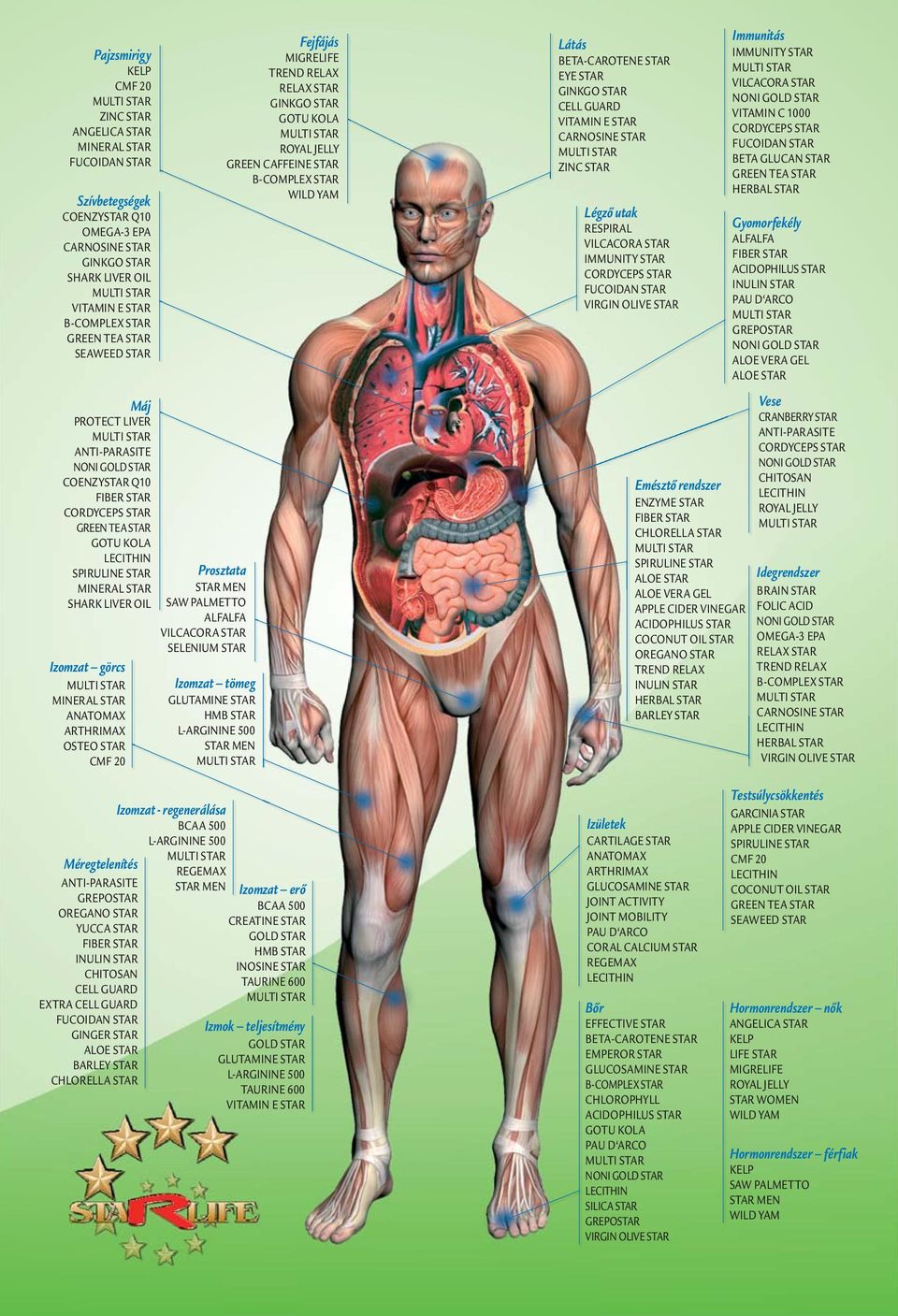 OIL SAW PALMETTO ALFALFA VILCACORA STAR SELENIUM STAR Izomzat görcs MINERAL STAR ANATOMAX ARTHRIMAX OSTEO STAR CMF 20 Izomzat tömeg GLUTAMINE STAR HMB STAR L-ARGININE 500 STAR MEN Fejfájás MIGRELIFE