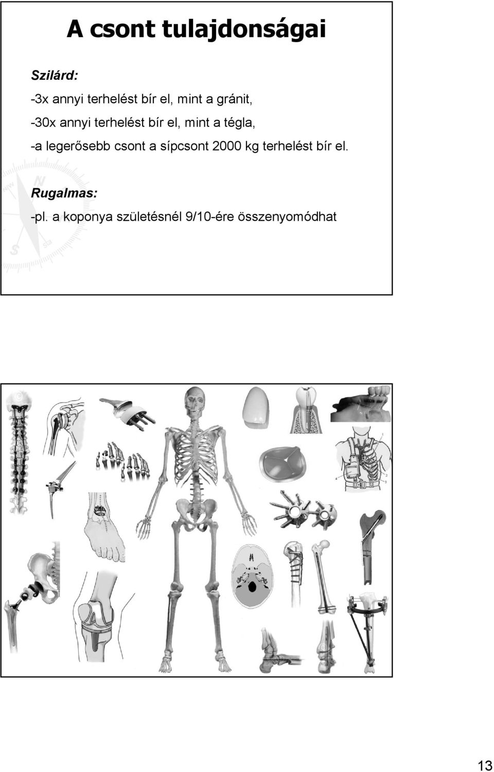 -a legerősebb csont a sípcsont 2000 kg terhelést bír el.