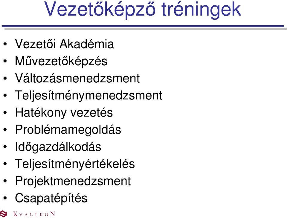 Teljesítménymenedzsment Hatékony vezetés