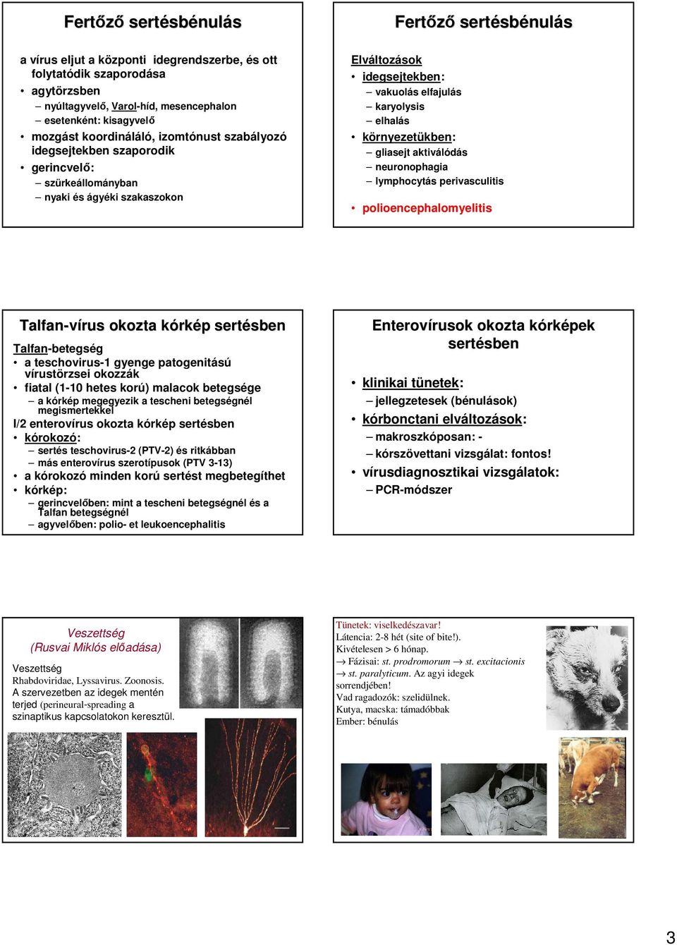 gliasejt aktiválódás neuronophagia lymphocytás perivasculitis polioencephalomyelitis Talfan-vírus okozta kórkk rkép p serté Talfan-betegség a teschovirus-1 gyenge patogenitású vírustörzsei okozzák