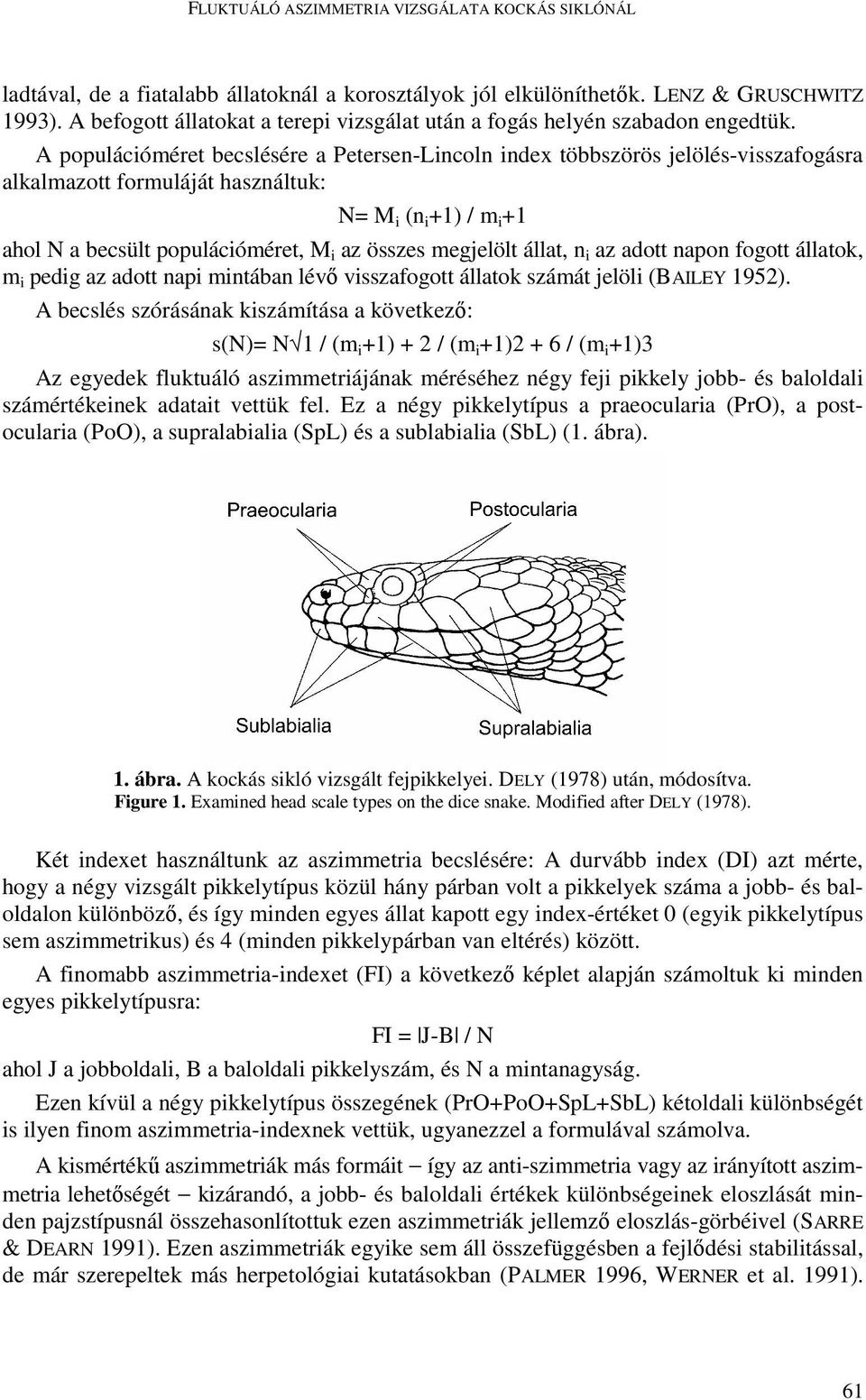 A populációméret becslésére a Petersen-Lincoln index többszörös jelölés-visszafogásra alkalmazott formuláját használtuk: N= M i (n i +1) / m i +1 ahol N a becsült populációméret, M i az összes