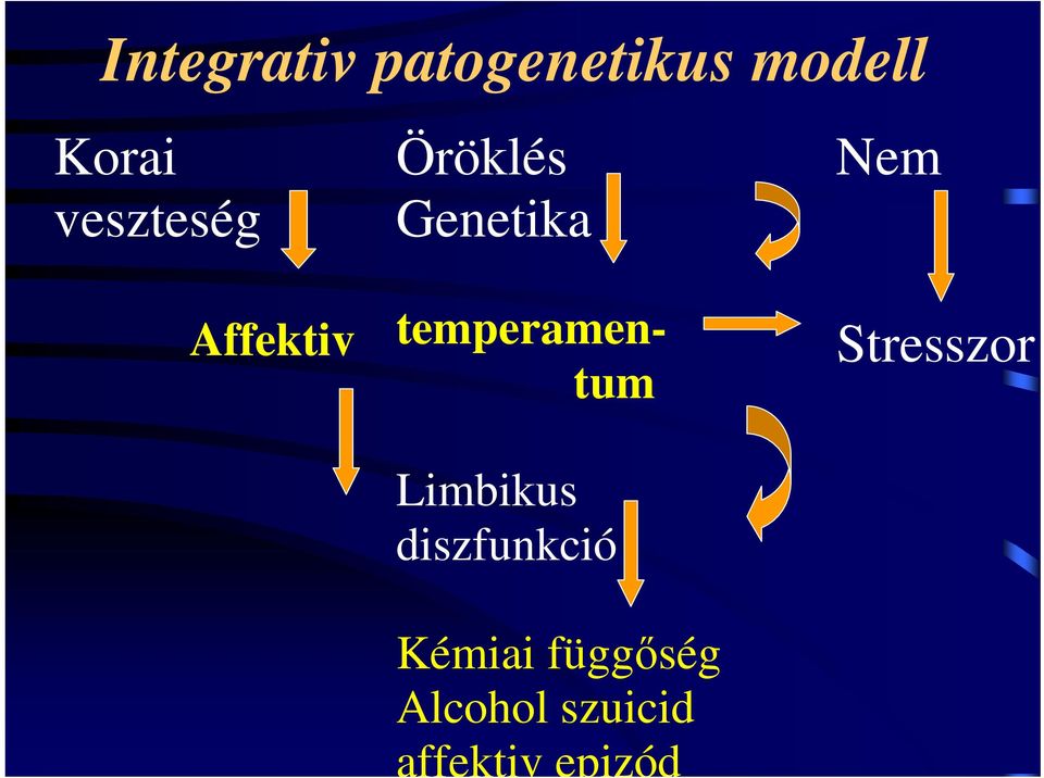 temperamentum Stresszor Limbikus