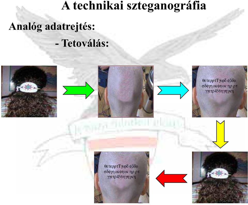 technikai